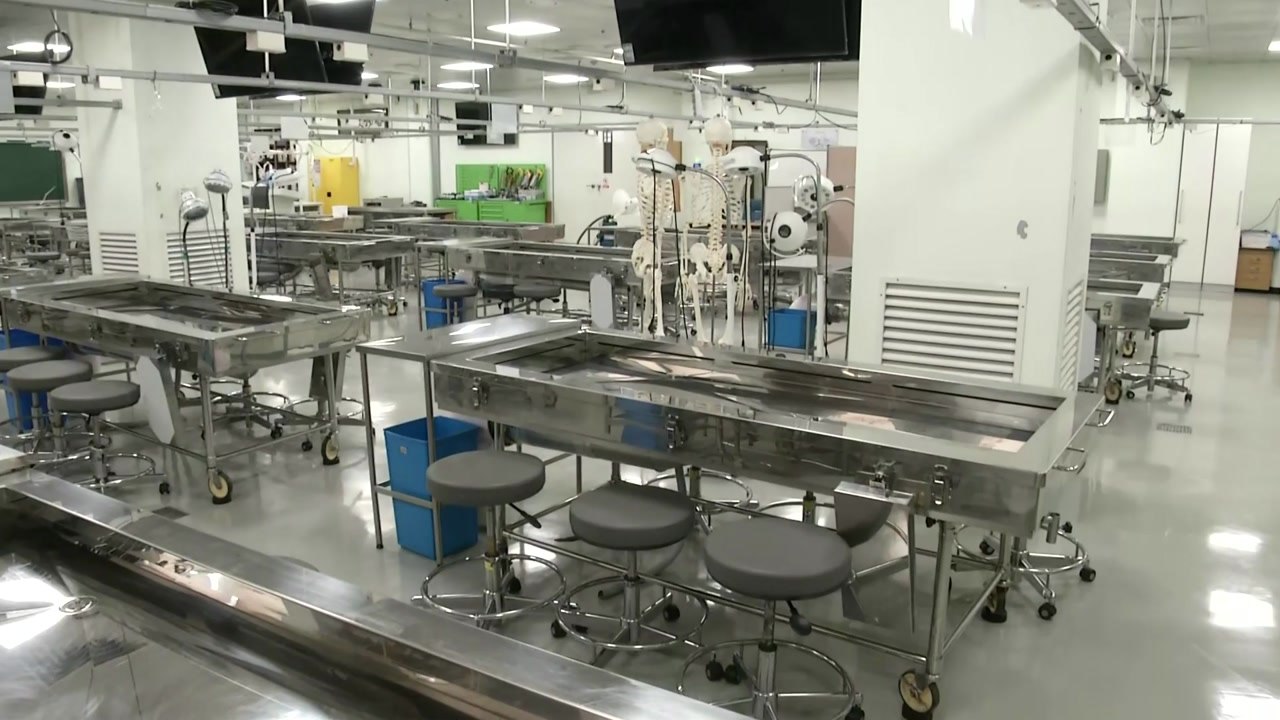 내일 전공의 모집·의사 국시 절차 시작...'회의적' / YTN