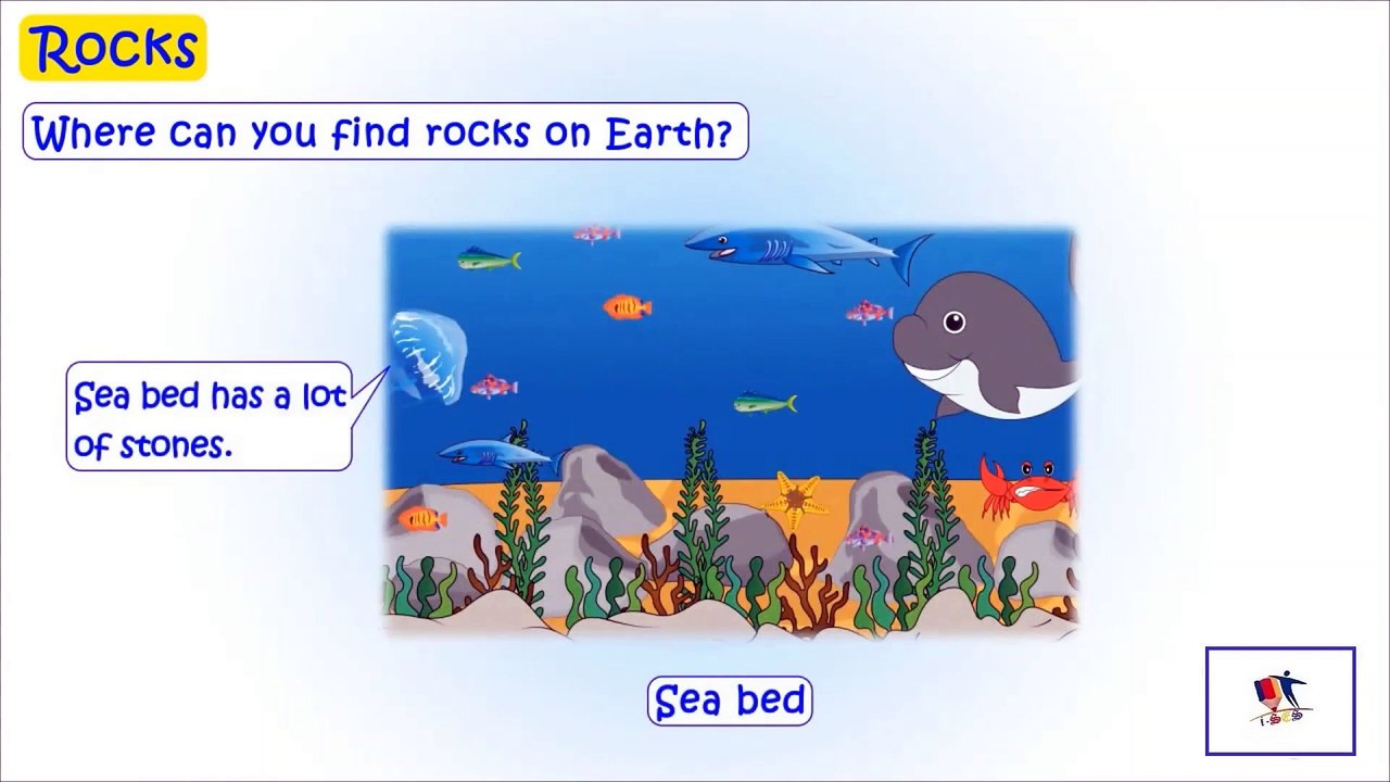 Rocks And Their Types