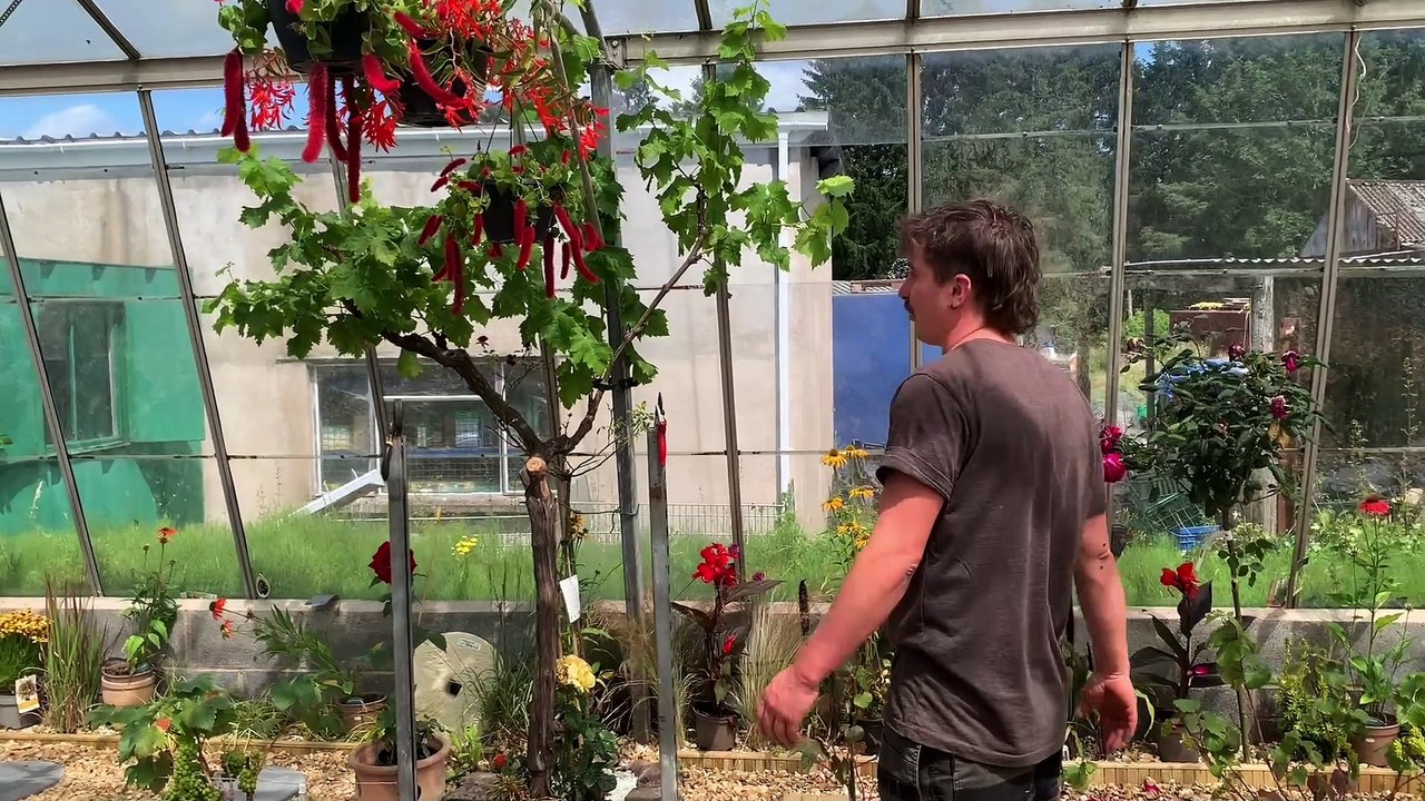 Club Med with Charlie and Gav!