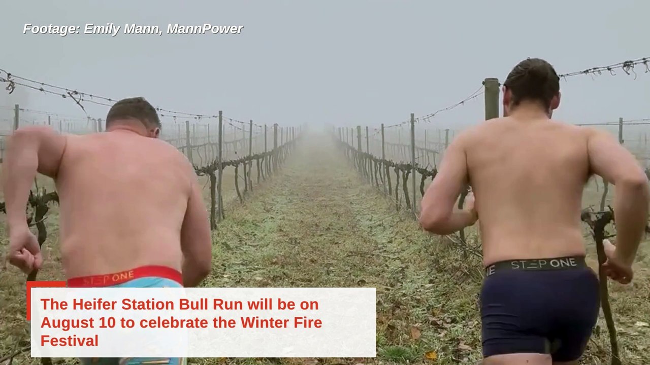 Heifer Station Bull Run