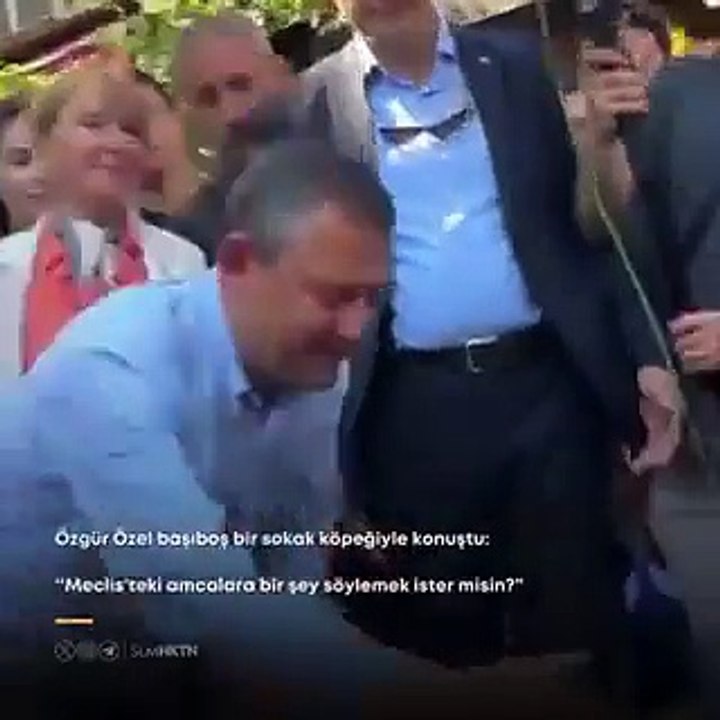 Kafayı iyice sıyırdılar! CHP'li Özel sokak köpeğiyle dertleşti