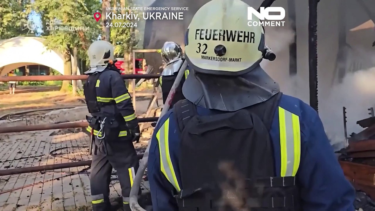 WATCH: Russian airstrike hits ecopoark in Kharkiv region