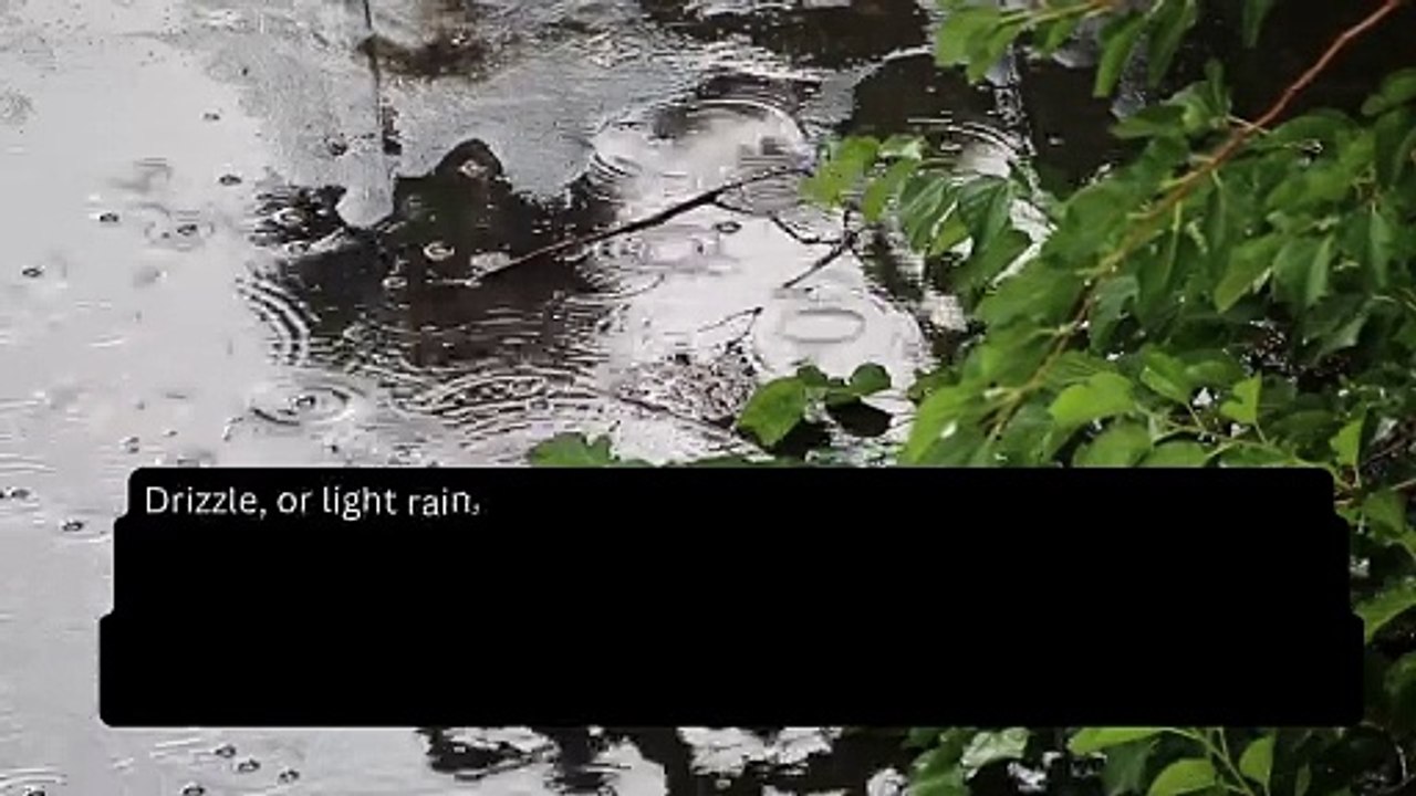 Spatter in the morning