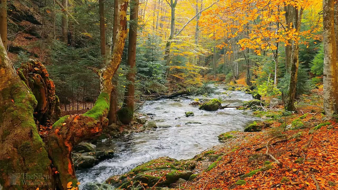 Relaxing waterfall sounds for sleep