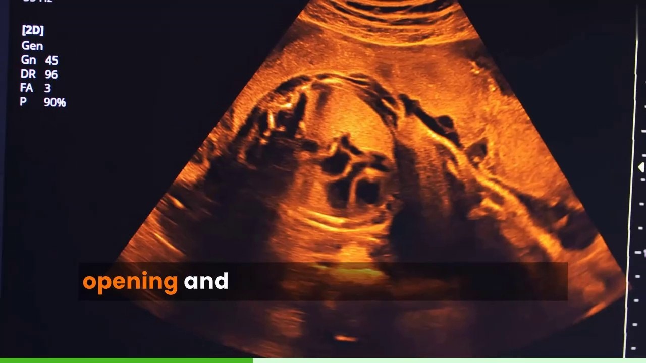 Fascinating Heart Facts You Need to Know! | The Science Bytes