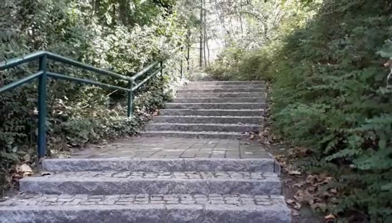 Berliner Aussichtspunkte: "Der Hügel im Bürgerpark"