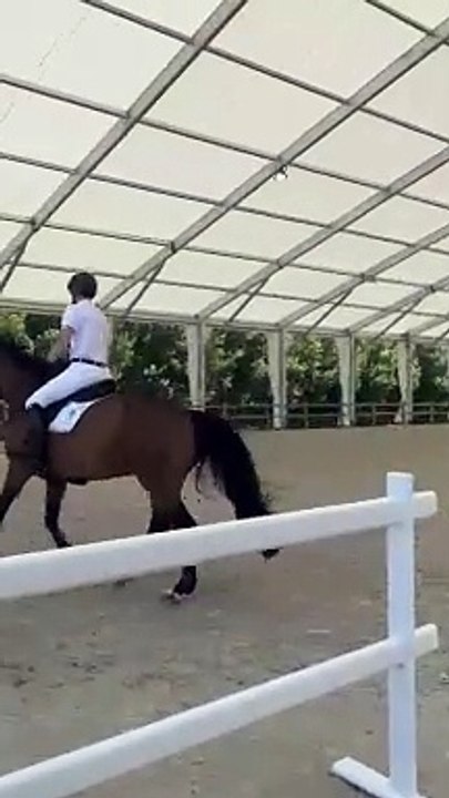 Derry showjumper Daniel Coyle preparing to ride at the Paris Olympics