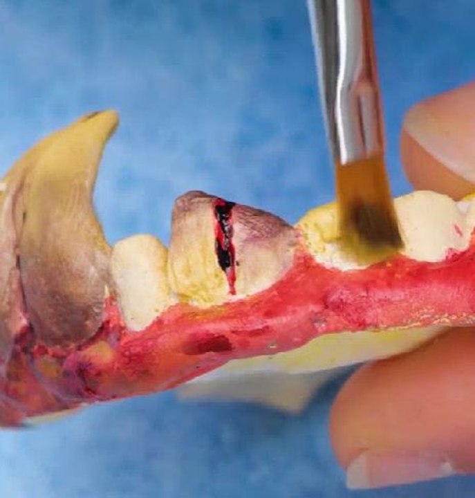 DIY rat jaw to scare away your haters!