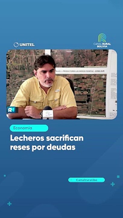 Lecheros sacrifican reses por deudas
