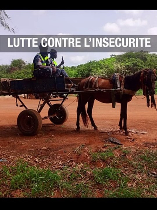 26 individus interpellés: La gendarmerie ratisse la forêt de Mbao
