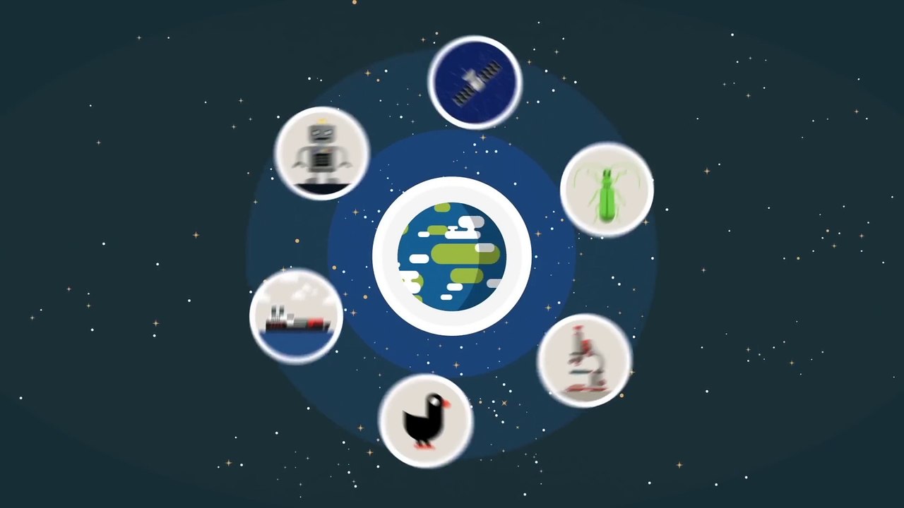 The History and Future of Everything -- Time