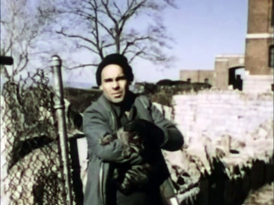 Sing Sing Prison Concert (1972)  Joan Baez, Thomas Beitard, Tito Butler | Hollywood Classics movie