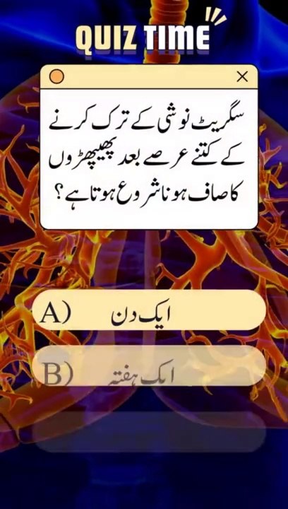 Ultimate | Health | Quiz | Video