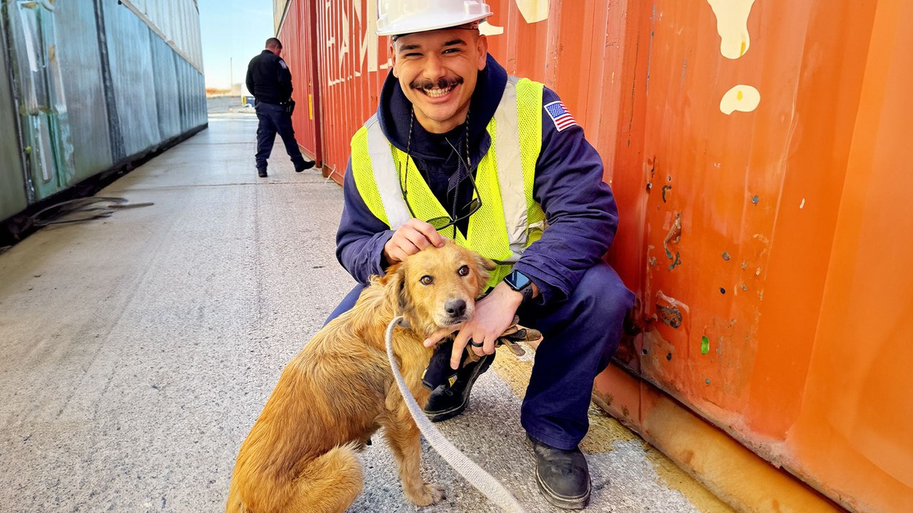 Coast Guards Rescue Dog Trapped In Shipping Container