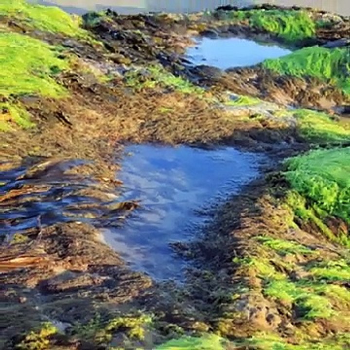 Relaxing music, sleeping music, flute music, piano instrumental music, nature music