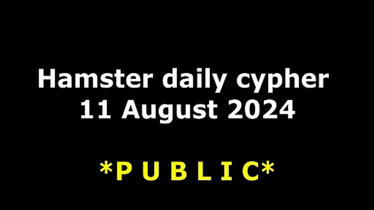 Hamster daily cypher 11 August 2024