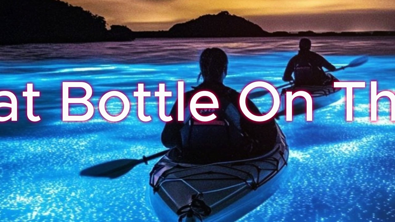 Post Malone - I Had Some Help Special Edition