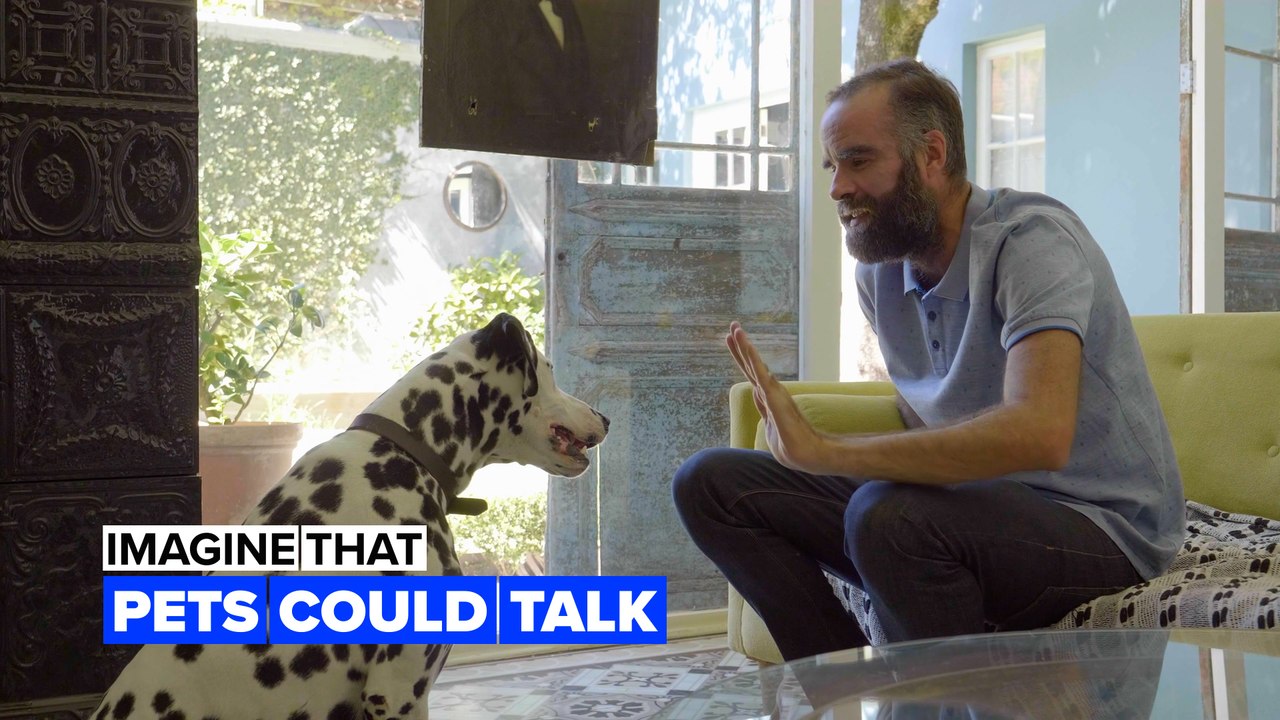 Imagine pets could talk  to humans