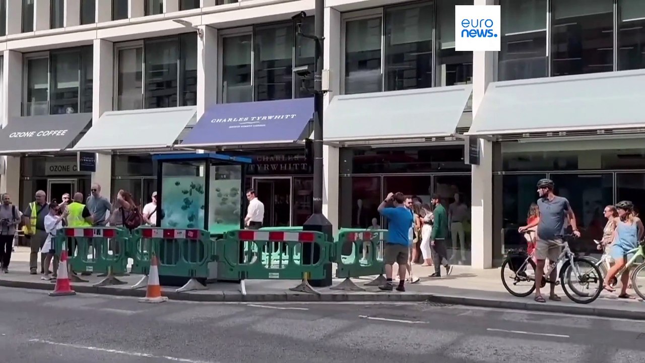 Aparece una nueva obra de la colección de animales de Banksy en Londres: un rinoceronte