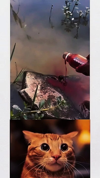 fish trap | men trap