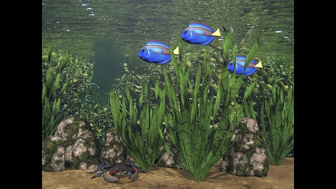 2024 8 Unterwasser Flora Fauna 2024