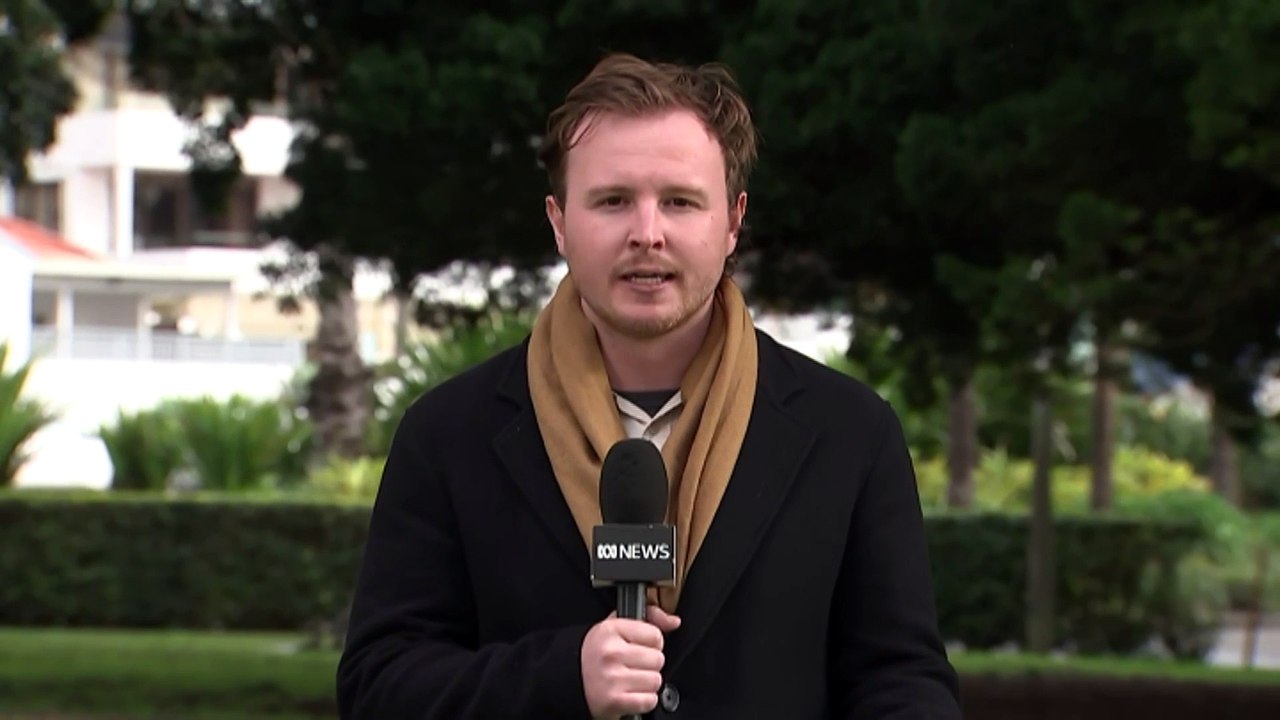 NSW Liberal Party director Richard Shields sacked