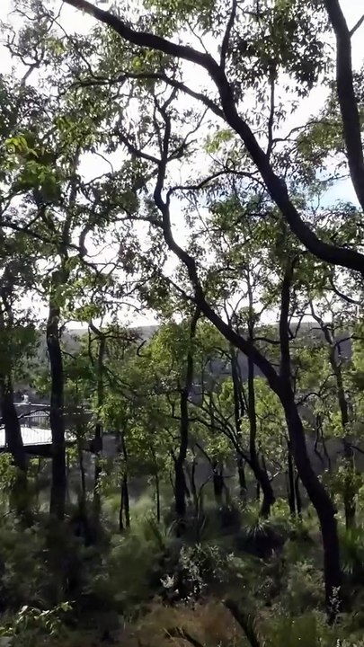 Support the Channel & Explore QDD Hammocks 🏕️