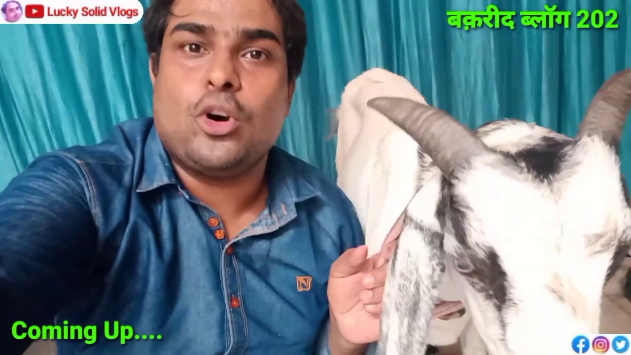 Eid Mubarak 2024 | Gorakhpur Bakrid Vlogs | Daily Vlog | Lucky Solid Vlogs | Gorakhnath Vlog | Vlogs