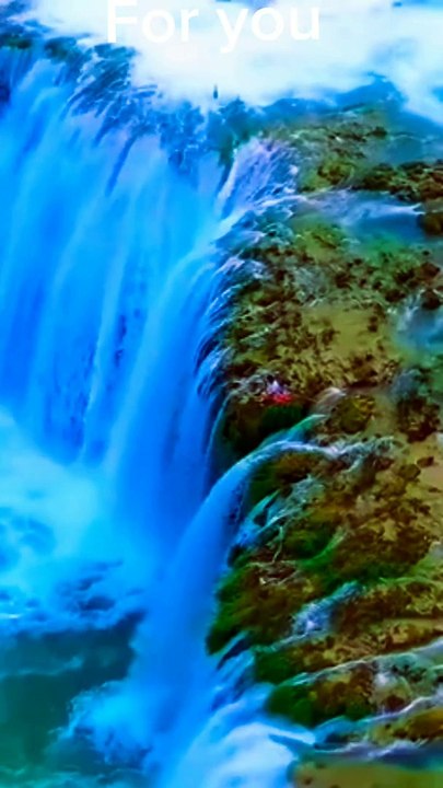 Islamic shorts, dailymotion shorts, shorts