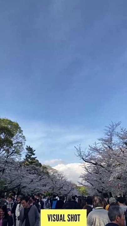 Visual Shot: Capture the Perfect Moment 🎥