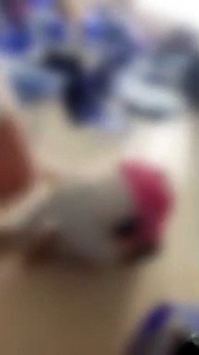 Briga de alunas em escola no Agreste alagoano