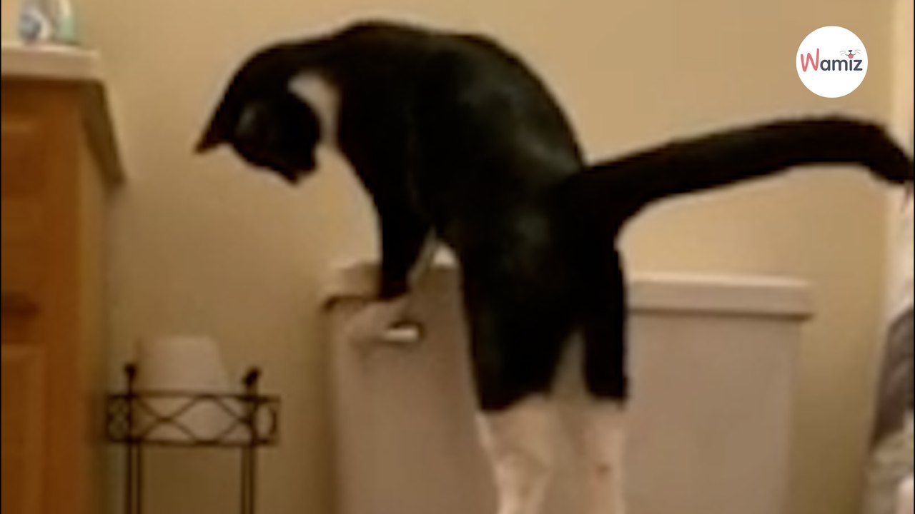 Rachunki za wodę z każdym miesiącem rosną. Kiedy mężczyzna odkrywa prawdziwą przyczynę, jest w szoku