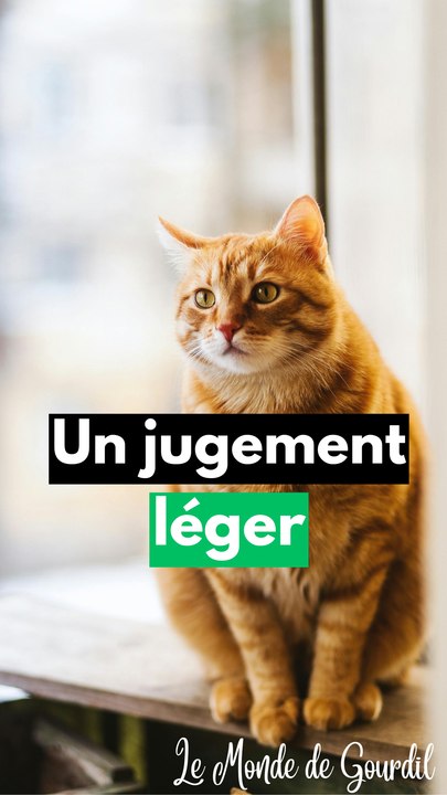 Il abat des chats
