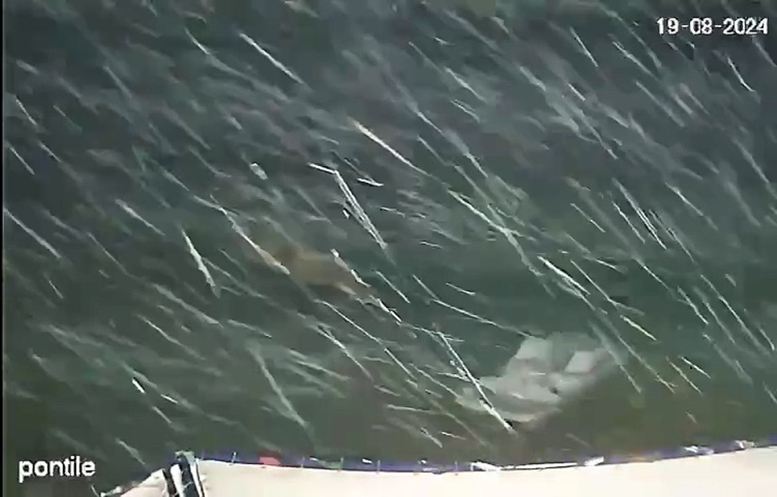 La tromba marina di Porticello, un video aiuta a capire cosa è successo