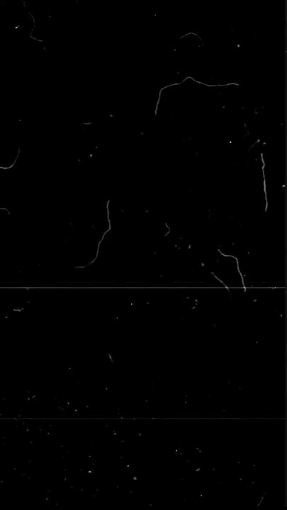 Chauffer un compte TikTok ?