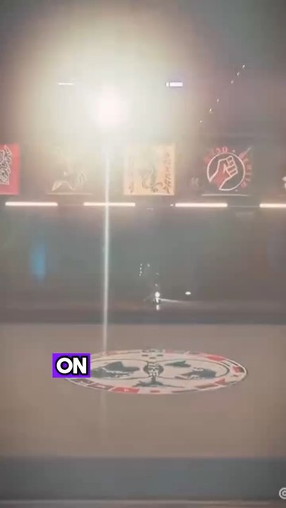 Théorie sur un Spin off a Cobra Kai