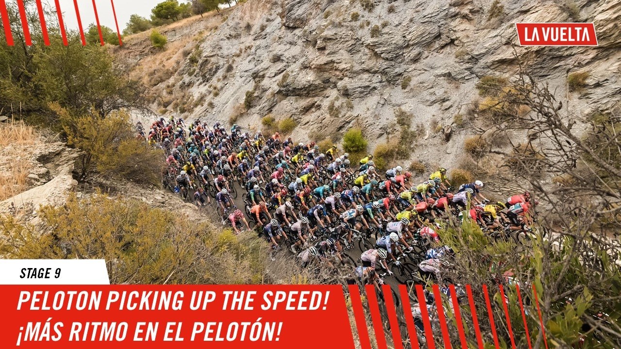 The peloton is picking up the speed! - Stage 9 - La Vuelta 2024