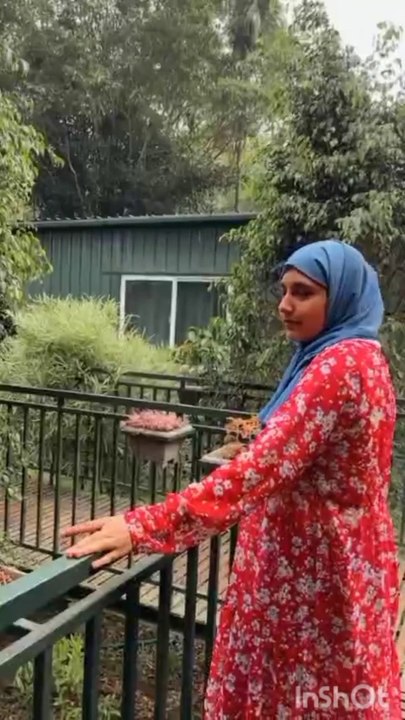 Explore the Beauty of Husnakhan, Kerala 🌿 | Stunning Travel Vlog