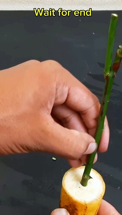 short Islamic viral,  short, video