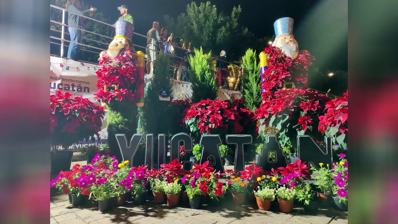 (336) Mexiko Sehenswert 4 | AUSWANDERN nach Mexiko