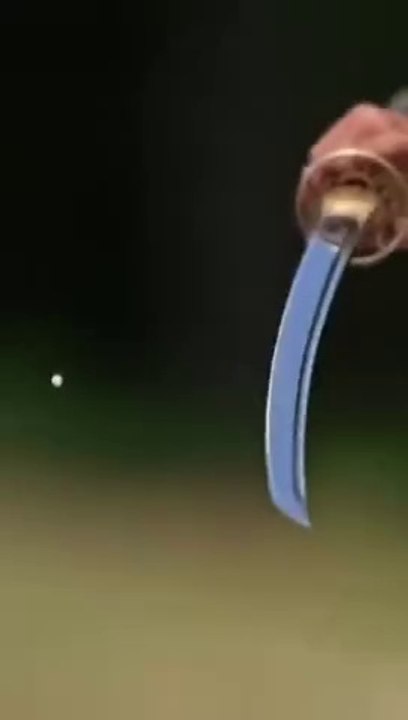 Katana Vs Bullet . Sword Vs Gun . Mr Beast in English