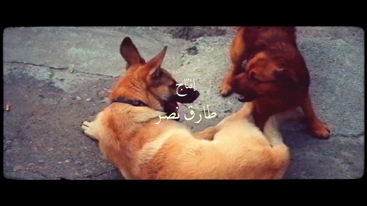 مسلسل سفاح الجيزة الحلقه 3