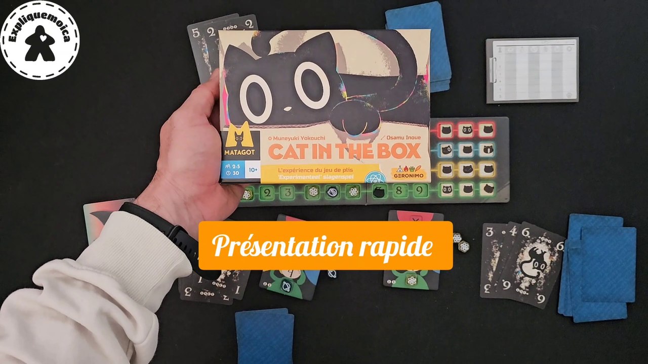 Présentation rapide de  CAT IN THE BOX par #EXPLIQUEMOICA  #MATAGOT