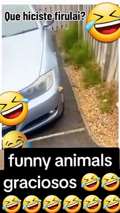 Smart Fun & Entertainment 🎉