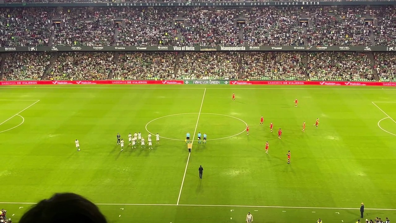 Homenaje a Pellegrini