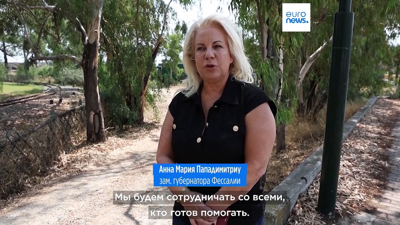 Чрезвычайное положение в Греции: порт Волос заполнен дохлой рыбой