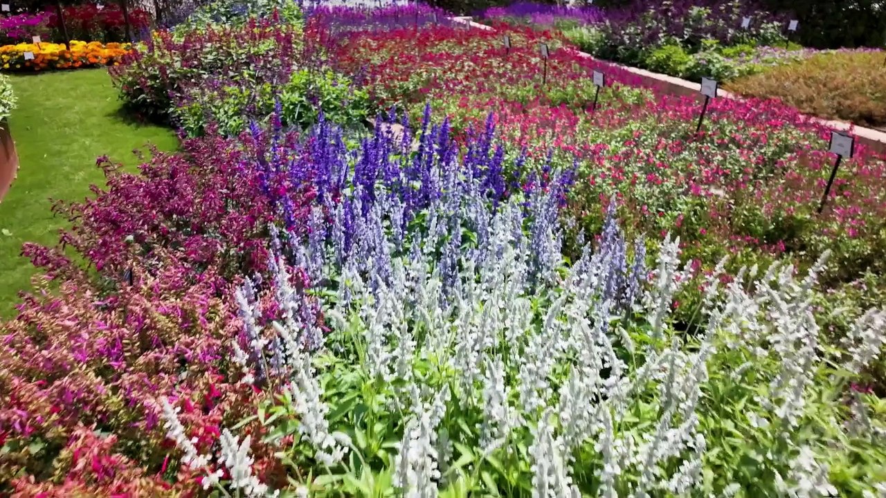 Gardening Australia 2024 episode 23