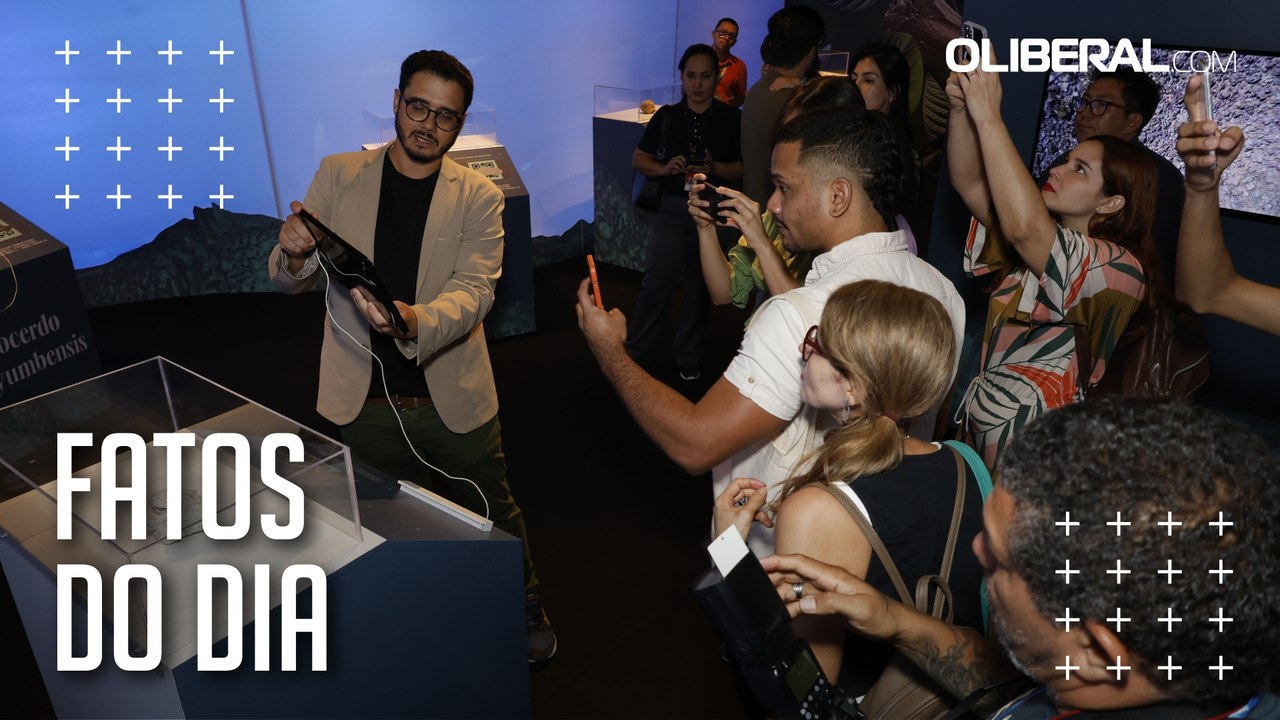 'Fóssil Vivo': exposição em realidade aumentada apresenta mostra de animais marinhos amazônicos