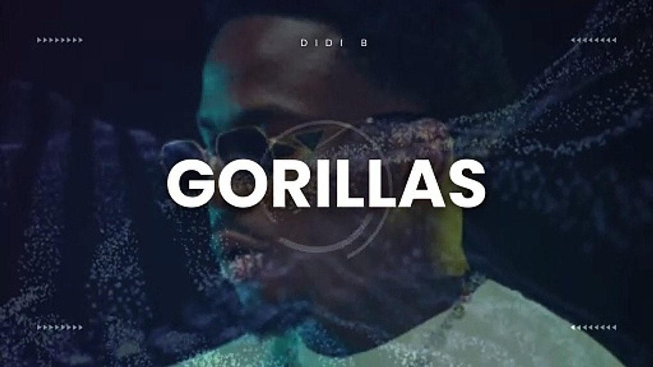 DIDI B - Gorillas [Audio]