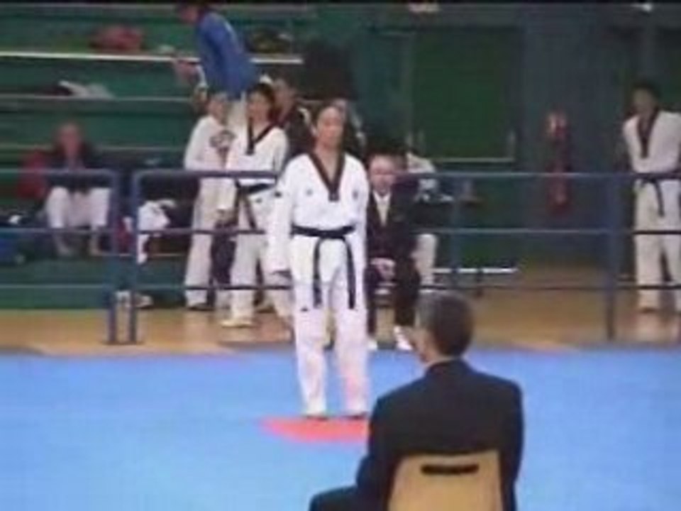 Chartres 2008 poomsae